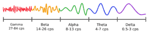 Brainwaves Gehirnwellen
