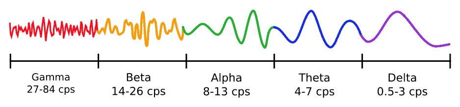 Brainwaves Gehirnwellen