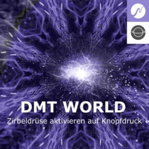 Digital High - DMT World