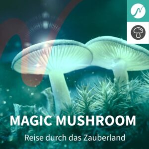 Digitale Droge - Magic Mushroom
